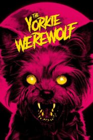 The Yorkie Werewolf 2024 on netflix