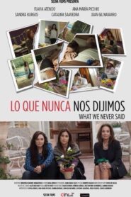 What We Never Said 2015 on netflix