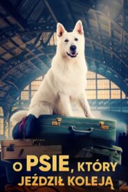 Lampo, the Travelling Dog 2023 on netflix