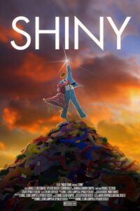 Shiny 2016 on netflix