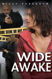 Wide Awake 2007 on netflix