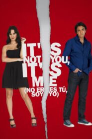 It’s Not You, It’s Me 2010 on netflix