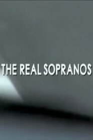 The Real Sopranos 2006 on netflix