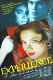 Experience 1984 on netflix