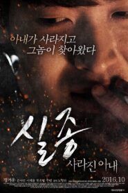 Disappearance: Missing Wife 2016 on netflix