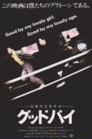 Goodbye 1989 on netflix