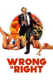 Wrong Is Right 1982 on netflix