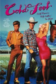 Cold Feet 1989 on netflix