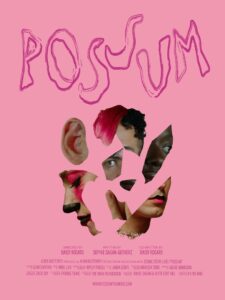 POSSUM 2024 on netflix