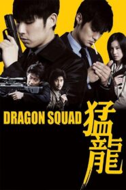 Dragon Squad 2005 on netflix