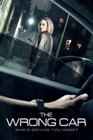 The Wrong Car 2016 on netflix