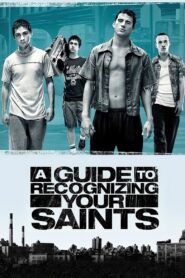 A Guide to Recognizing Your Saints 2006 on netflix