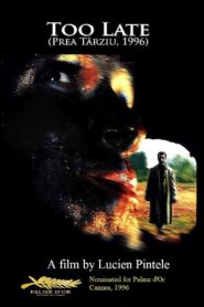 Too Late 1996 on netflix