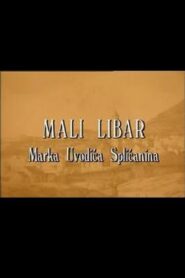 A Little Inscription of Marko Uvodic from Split 1997 on netflix