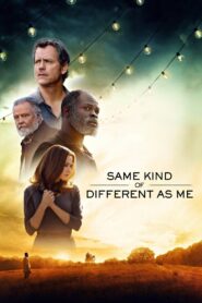Same Kind of Different as Me 2017 on netflix