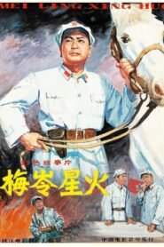 梅岭星火 1982 on netflix