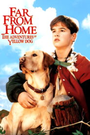 Far from Home: The Adventures of Yellow Dog 1995 on netflix