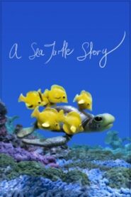 A Sea Turtle Story 2012 on netflix