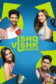 Ishq Vishk Rebound 2024 on netflix