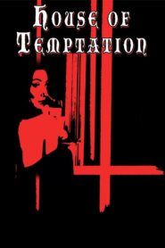 House of Temptation 2014 on netflix