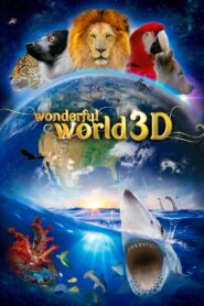 Wonderful World 3D 2014 on netflix