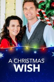 A Christmas Wish 2019 on netflix