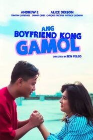 Ang Boyfriend Kong Gamol 1993 on netflix