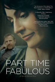 Part Time Fabulous 2011 on netflix