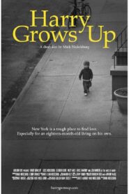 Harry Grows Up 2012 on netflix