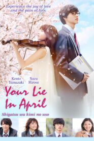 Your Lie in April 2016 on netflix