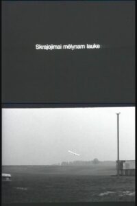 Flying Over the Blue Fields 1996 on netflix