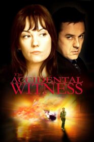 The Accidental Witness 2006 on netflix