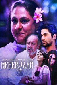 Meherjaan 2011 on netflix