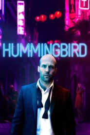 Hummingbird 2013 on netflix