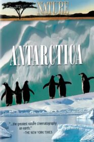 Under Antarctic Ice 2003 on netflix