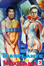 Transplante a la mexicana 1990 on netflix