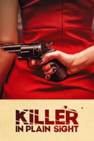 Killer in Plain Sight 2018 on netflix