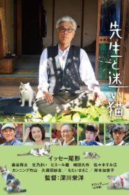 Teacher and Stray Cat 2015 on netflix