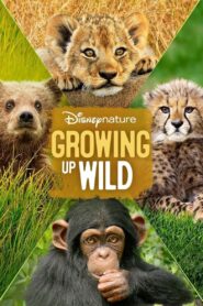 Growing Up Wild 2016 on netflix