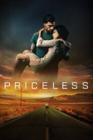 Priceless 2016 on netflix