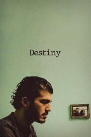 Destiny 2006 on netflix