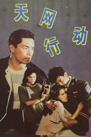 Net of Heaven Action 1994 on netflix