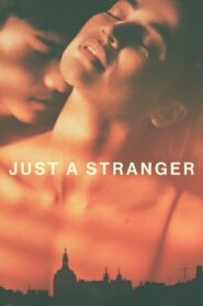 Just a Stranger 2019 on netflix