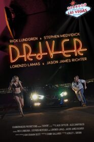 Driver 2018 on netflix