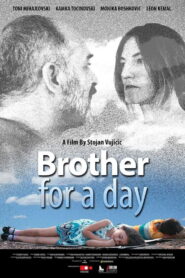 Brother for a Day 2016 on netflix