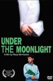 Under the Moonlight 2001 on netflix