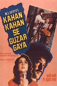 Kahan Kahan Se Guzar Gaya 1986 on netflix