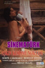 Aşkın Kesişme Noktası 1990 on netflix