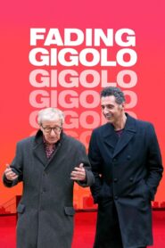 Fading Gigolo 2013 on netflix