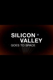 Silicon Valley Goes to Space 2013 on netflix
